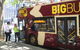 Sydney Combo: Hop-On Hop-Off Harbor Cruise And Hop-On Hop-Off City Bus Tour - thumb 3