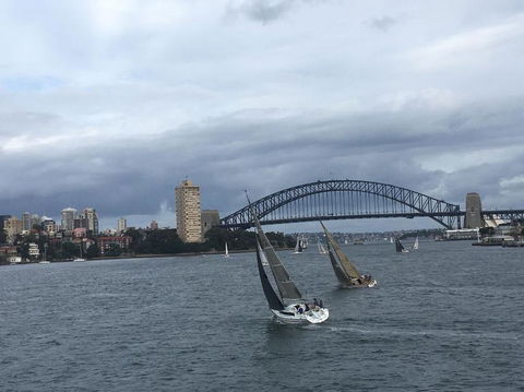 Sydney Combo: Hop-On Hop-Off Harbor Cruise And Hop-On Hop-Off City Bus Tour - Phillip Island Accommodation 22