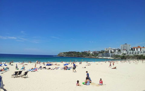 Sydney Combo: Hop-On Hop-Off Harbor Cruise And Hop-On Hop-Off City Bus Tour - Phillip Island Accommodation 25