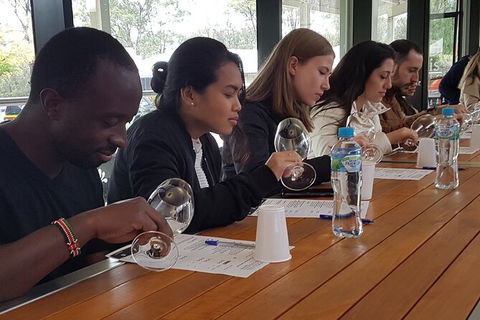 Small-Group Hunter Valley Wine Tasting Tour From Sydney - Phillip Island Accommodation 2