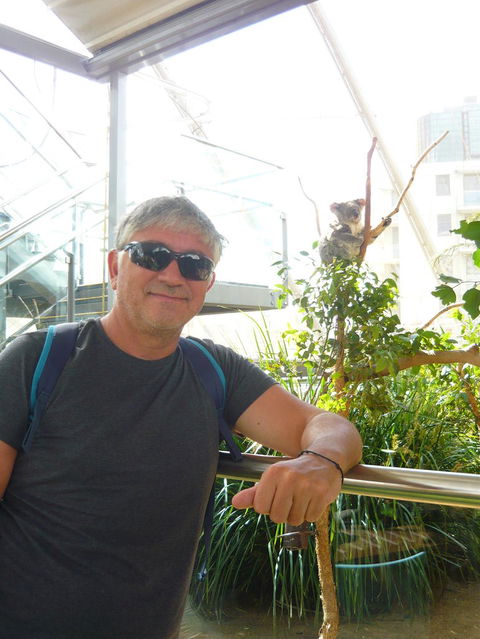 Sydney Pass: SEA LIFE Aquarium, Sydney Tower Eye, WILD LIFE Sydney, Sydney Harbour Cruise, And Madame Tussauds - Phillip Island Accommodation 3