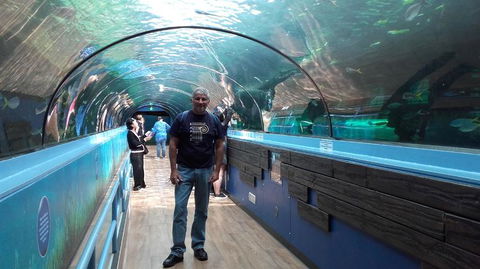 Sydney Pass: SEA LIFE Aquarium, Sydney Tower Eye, WILD LIFE Sydney, Sydney Harbour Cruise, And Madame Tussauds - Phillip Island Accommodation 5