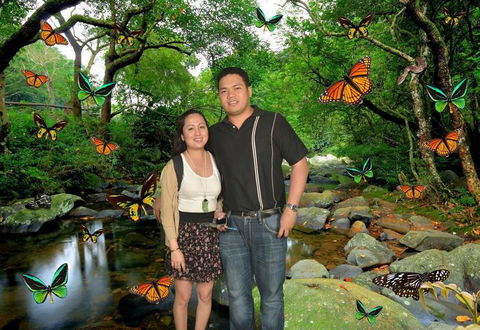 Sydney Pass: SEA LIFE Aquarium, Sydney Tower Eye, WILD LIFE Sydney, Sydney Harbour Cruise, And Madame Tussauds - Phillip Island Accommodation 11