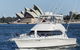 Small-Group Luxury Sydney Whale Watching Cruise - thumb 3