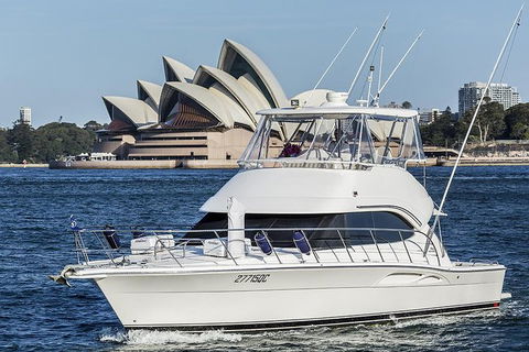 Small-Group Luxury Sydney Whale Watching Cruise - Phillip Island Accommodation 3