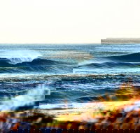 7-Day Byron Bay Evans Head and Moonee Beach Surf Safari from Brisbane Gold Coast or Byron Bay - Phillip Island Accommodation