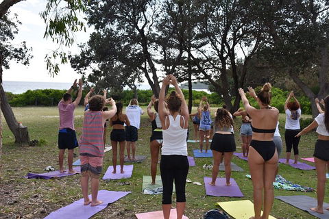7-Day Byron Bay, Evans Head And Moonee Beach Surf Safari From Brisbane, Gold Coast Or Byron Bay - Phillip Island Accommodation 3
