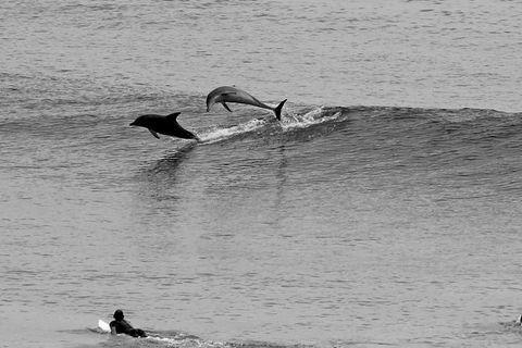 7-Day Byron Bay, Evans Head And Moonee Beach Surf Safari From Brisbane, Gold Coast Or Byron Bay - Phillip Island Accommodation 6