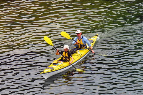 Self-Guided Sydney Middle Harbour Kayak 3 Hour Tour By Double Kayak - Phillip Island Accommodation 6