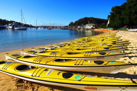 Self-Guided Sydney Middle Harbour Kayak 3 Hour Tour By Double Kayak - Phillip Island Accommodation 4