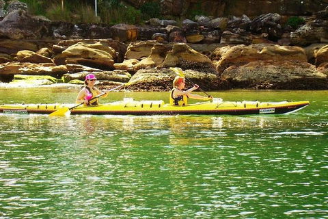 Self-Guided Sydney Middle Harbour Kayak 3 Hour Tour By Double Kayak - Phillip Island Accommodation 8