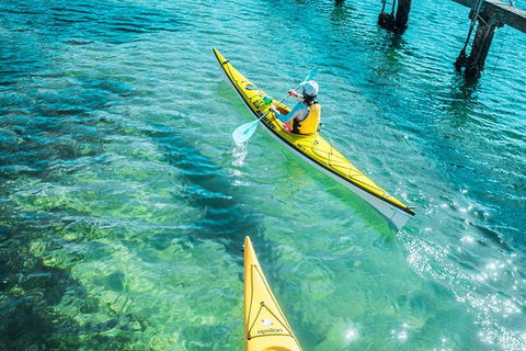 Self-Guided Sydney Middle Harbour Kayak 3 Hour Tour By Single Kayak - Phillip Island Accommodation 1
