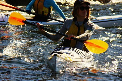 Self-Guided Sydney Middle Harbour Kayak 3 Hour Tour By Single Kayak - Phillip Island Accommodation 8