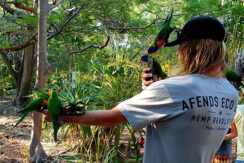 Stray Australia: Byron Bay To Cairns - Freestyle Tour - Phillip Island Accommodation 1