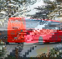 SkyBus Byron Bay Express - Phillip Island Accommodation