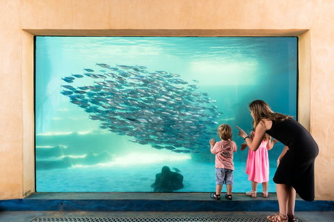 AQWA The Aquarium Of Western Australia - Phillip Island Accommodation 0