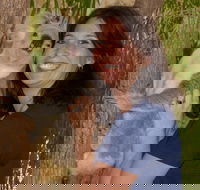 Billabong Sanctuary - Phillip Island Accommodation