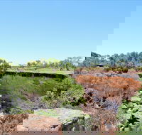 Bladensburg National Park - Phillip Island Accommodation