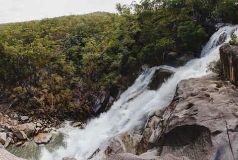 Davies Creek National Park And Dinden National Park - Phillip Island Accommodation 0
