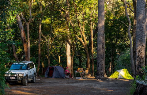 Davies Creek National Park And Dinden National Park - Phillip Island Accommodation 1