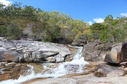 Davies Creek National Park And Dinden National Park - Phillip Island Accommodation 2