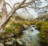 Dead Horse Gap walking track - Phillip Island Accommodation