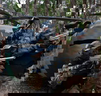 Delta Force Paintball Appin - Phillip Island Accommodation