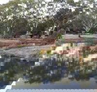 Green Corridor Walking Track - Phillip Island Accommodation