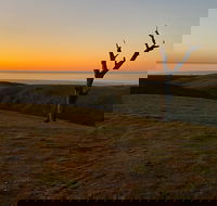 Lessismore Farm Afternoon Farmer - Phillip Island Accommodation