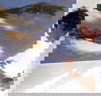 Neale Joseph Fine Art Gallery - Phillip Island Accommodation