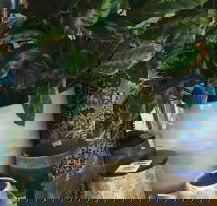 Noreen's Seaside Shop - Phillip Island Accommodation