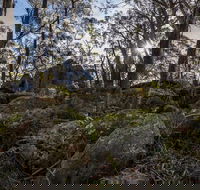 Pheasants Peak Walking Track - Phillip Island Accommodation