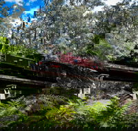Puffing Billy Railway - Phillip Island Accommodation