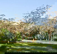 Red Cedar Flat Picnic Area - Phillip Island Accommodation