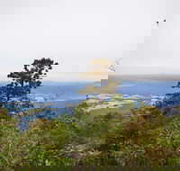 Slingsbys Trail and Syndicate Ridge Track - Phillip Island Accommodation