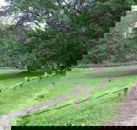 St Albans Reserve - Phillip Island Accommodation
