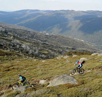 Thredbo Mountain Biking - Phillip Island Accommodation