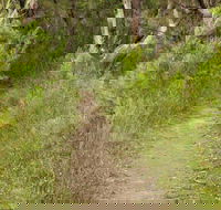 Three Views walking track - Phillip Island Accommodation