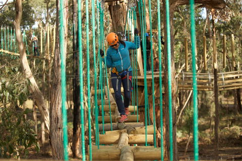 Trees Adventure Yeodene Park - Phillip Island Accommodation 0