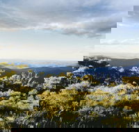 Vista Point Picnic Area - Phillip Island Accommodation