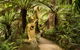 William Ricketts Sanctuary - thumb 0