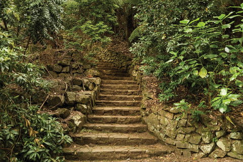 William Ricketts Sanctuary - Phillip Island Accommodation 1