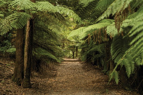 William Ricketts Sanctuary - Phillip Island Accommodation 2
