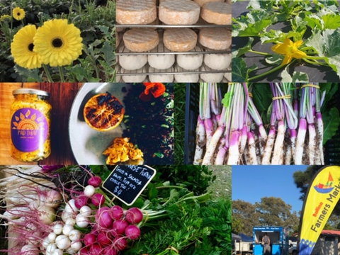 Ballina Farmers Market - Phillip Island Accommodation 1
