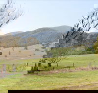 Banimboola Creek Rest Area - Phillip Island Accommodation