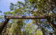Bribie Island Bicentennial Trails - thumb 0