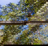 Bribie Island Bicentennial Trails - Phillip Island Accommodation