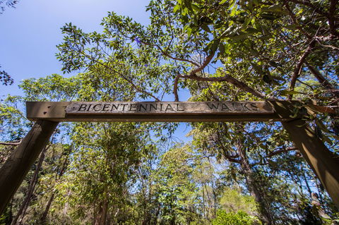 Bribie Island Bicentennial Trails - Phillip Island Accommodation 0