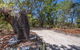 Bribie Island Bicentennial Trails - thumb 2