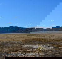 Darke Peak Scenic Drive - Phillip Island Accommodation